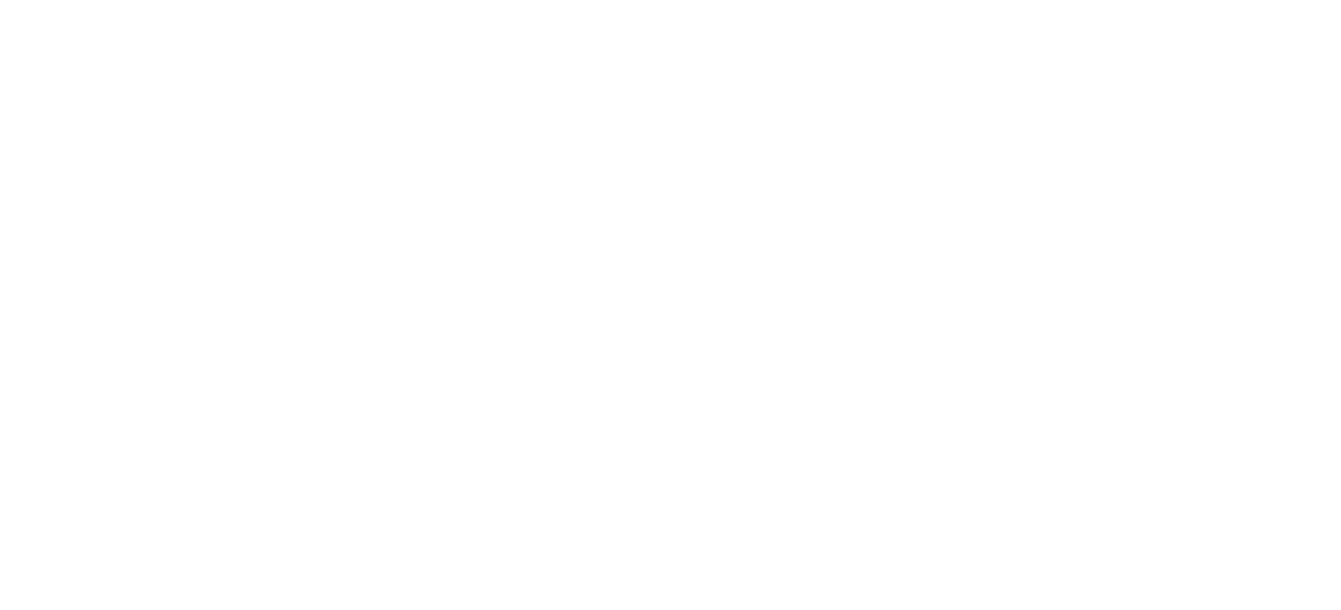 D&S Global